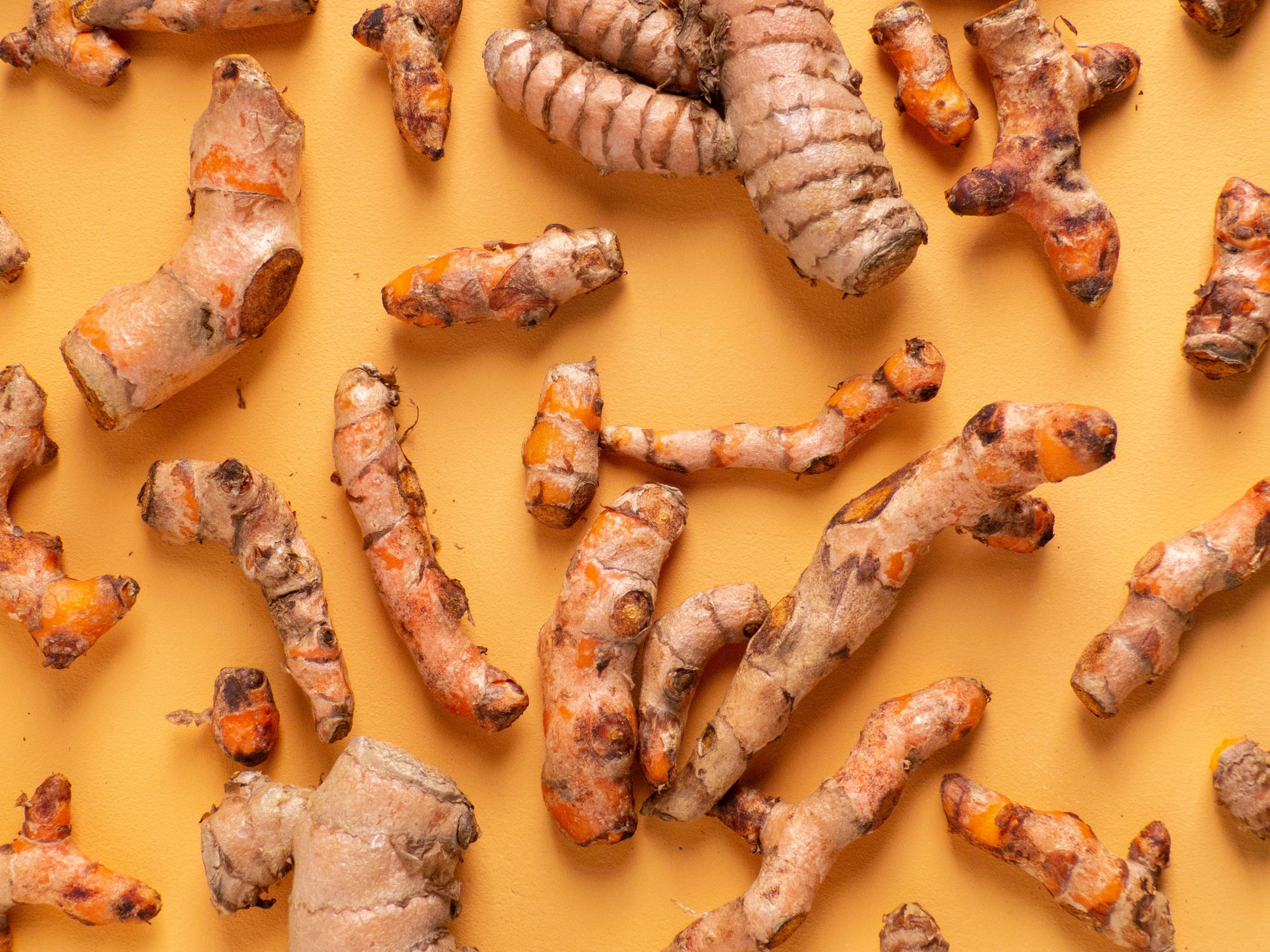 Turmeric: What is it, and Why Should I give it to my dog?