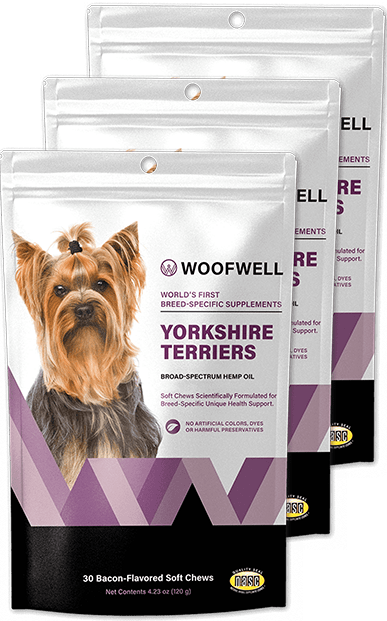Yorkshire Terrier Supplement Special Offer 3 Pack